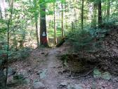  Blick auf die Wanderstrecke 